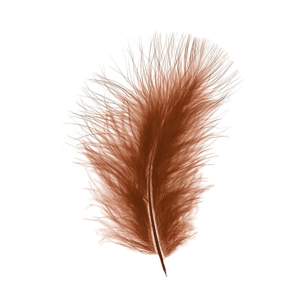 X 1DS.PLUIM MARABOU         BRUIN_
