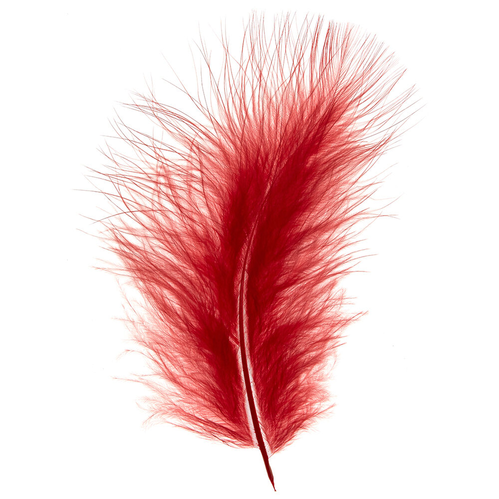 X 1DS.PLUIM MARABOU   TOMATENROOD_
