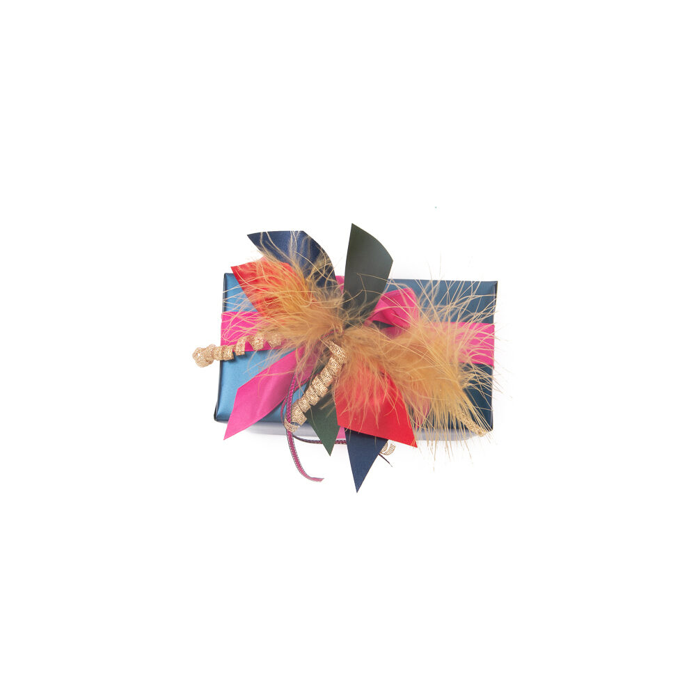 X 1DS.PLUIM MARABOU   CARAM.BRUIN_