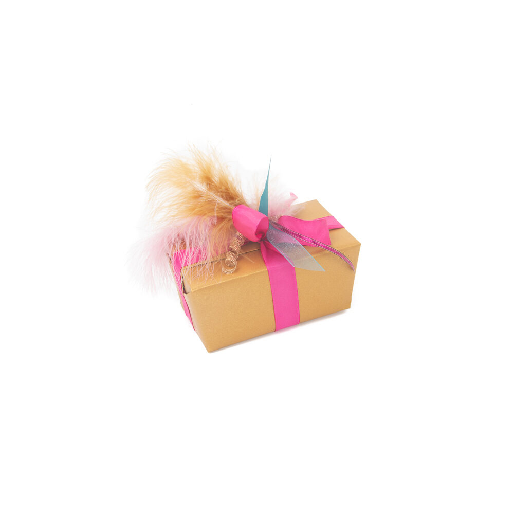 X 1DS.PLUIM MARABOU   CARAM.BRUIN_
