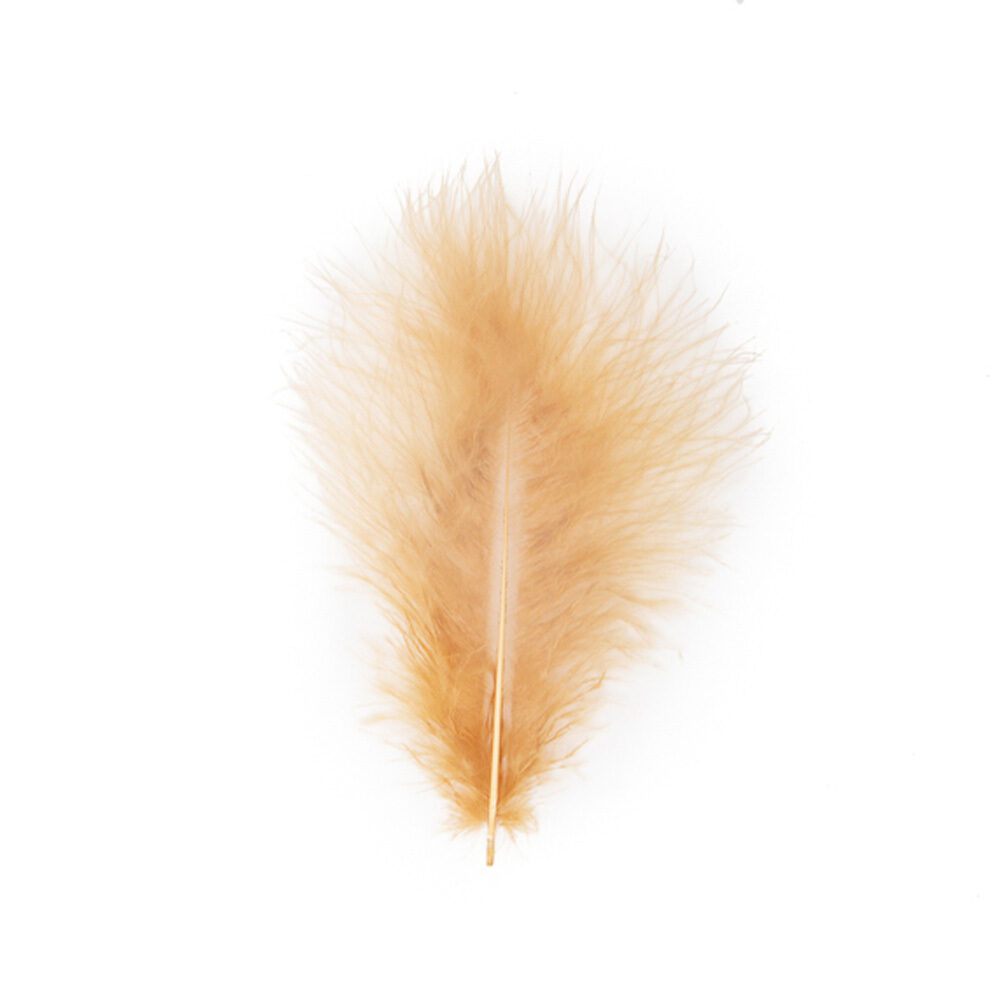 X 1DS.PLUIM MARABOU   CARAM.BRUIN_