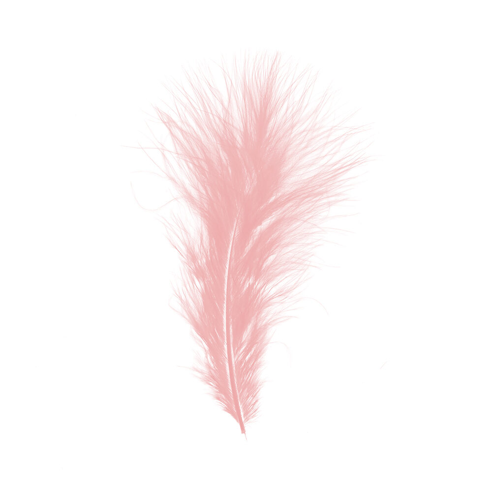 X 1DS.PLUIM MARABOU          ROZE_
