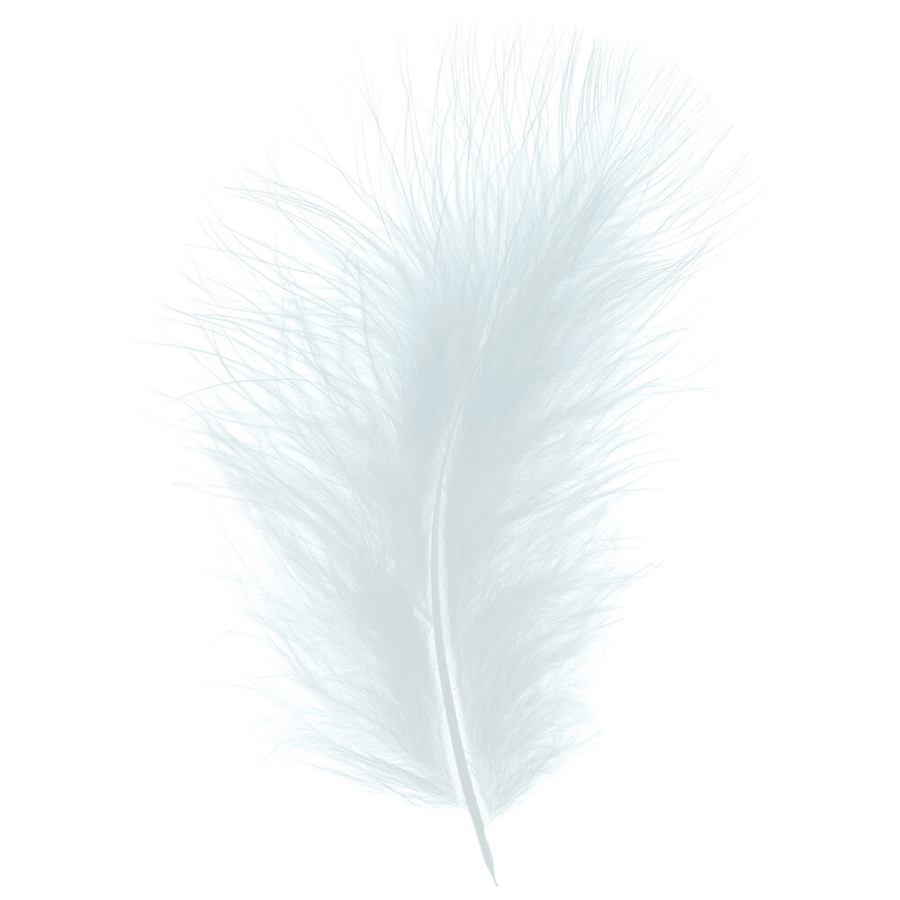 X 1DS.PLUIM MARABOU      IJSBLAUW_