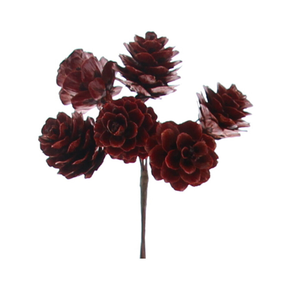 X36ST DENNENAPPEL ROOD 11CM