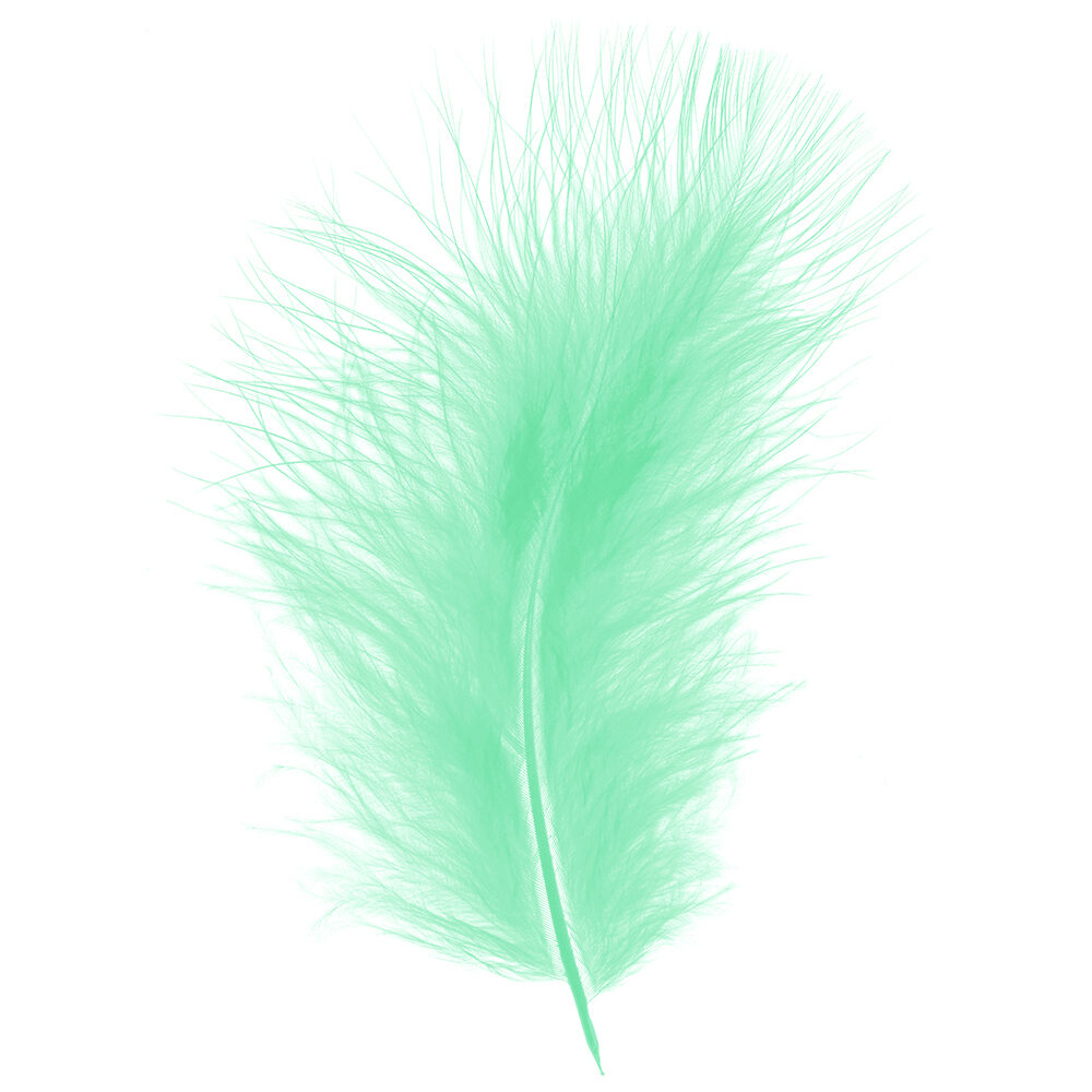 X 1DS.PLUIM MARABOU      PISTACHE_
