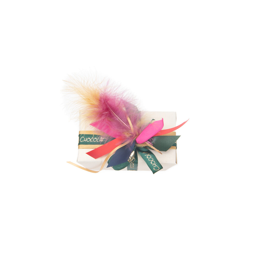 X 1DS.PLUIM MARABOU        VIOLET_