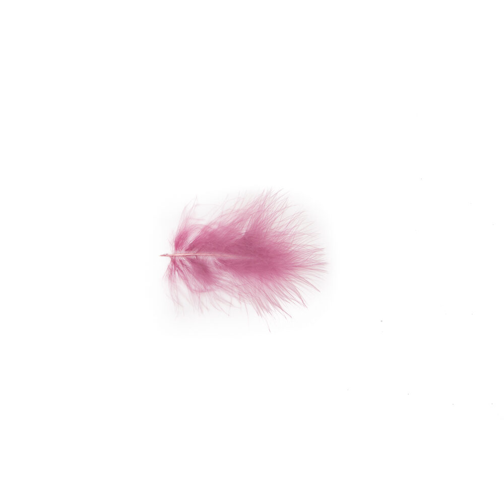 X 1DS.PLUIM MARABOU        VIOLET_