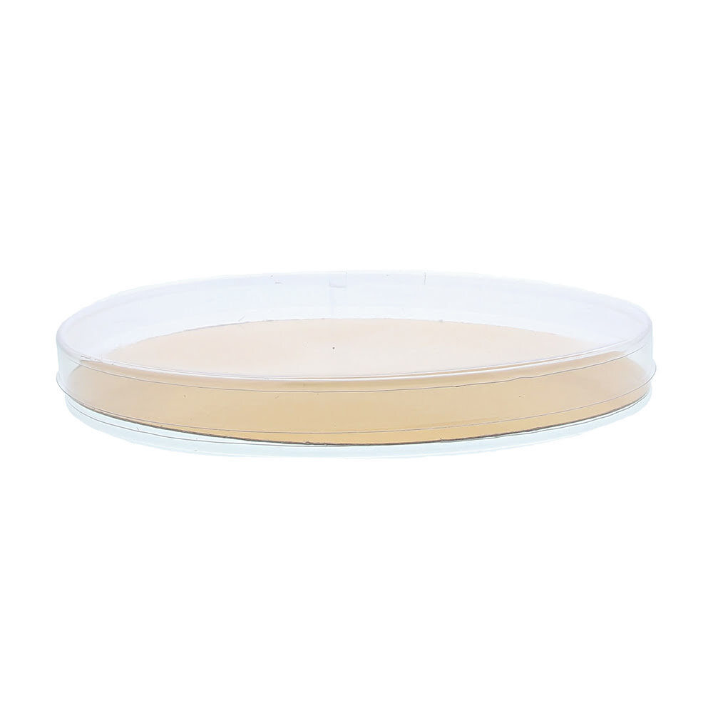 X50PCS BOX PVC OVAL 25X200X135MM