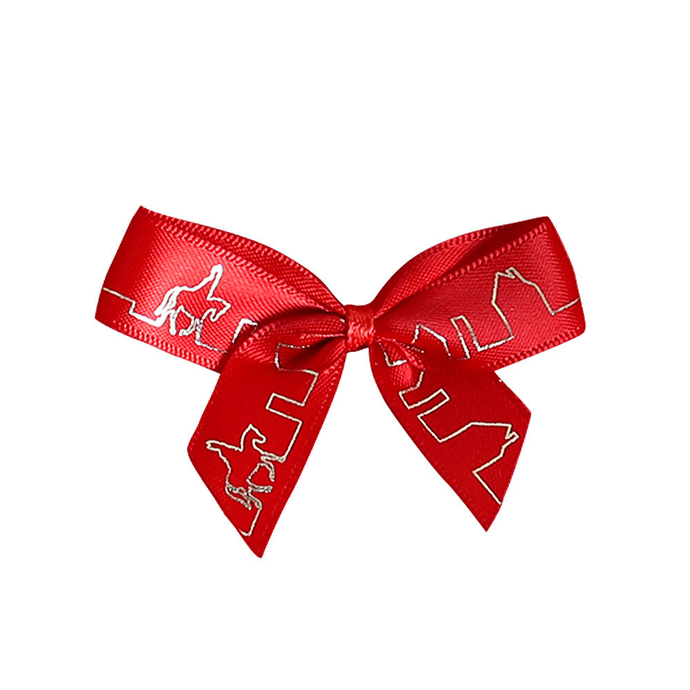 X50PCS BOW WITH CLIP SINT ON ROOFTOP