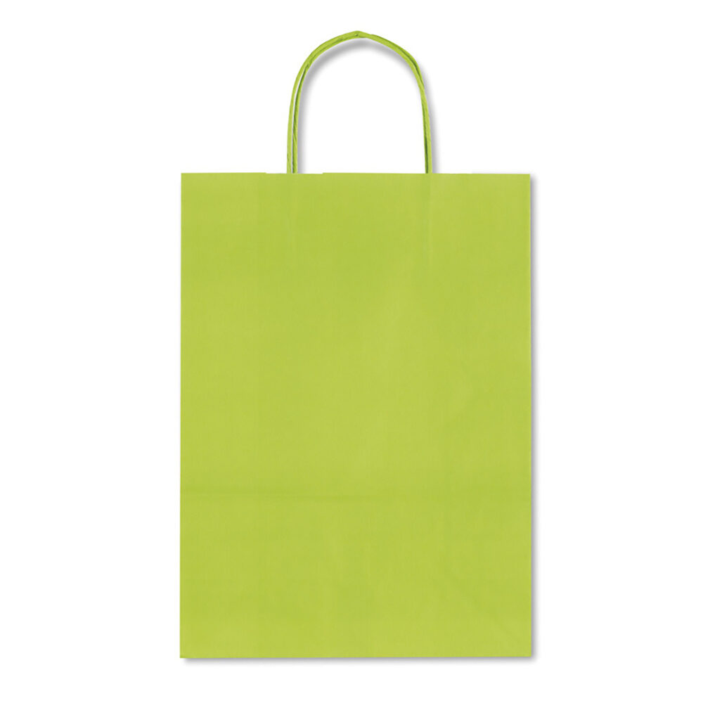 X25ST KRAFTZAK GROEN 26X12X36CM