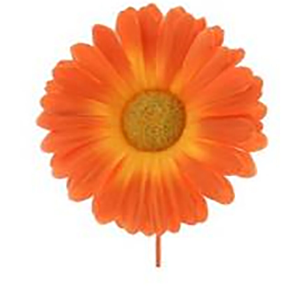 X12PCS GERMINI ORANGE