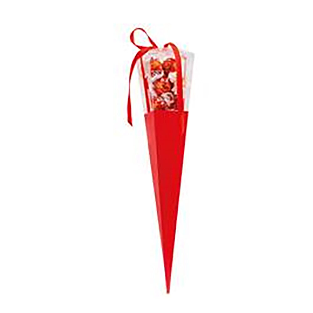 X50PCS SAC A POIGNEES ROUGE 30CM AVEC PET BOITE