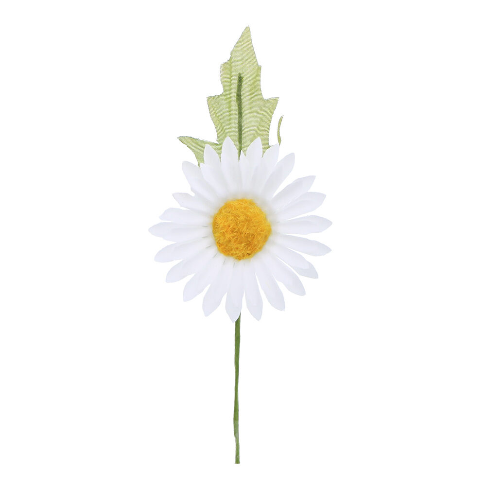 12xFLEUR MARGRIETE BLANC