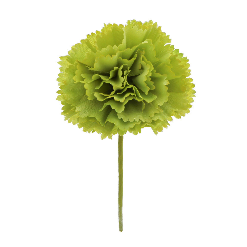 12xFLOWER CARNATION LIGHT GREEN