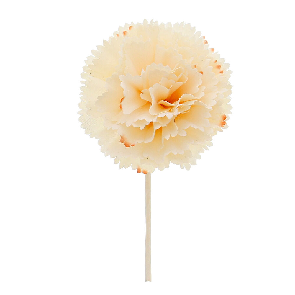 12xFLOWER CARNATION ECRU