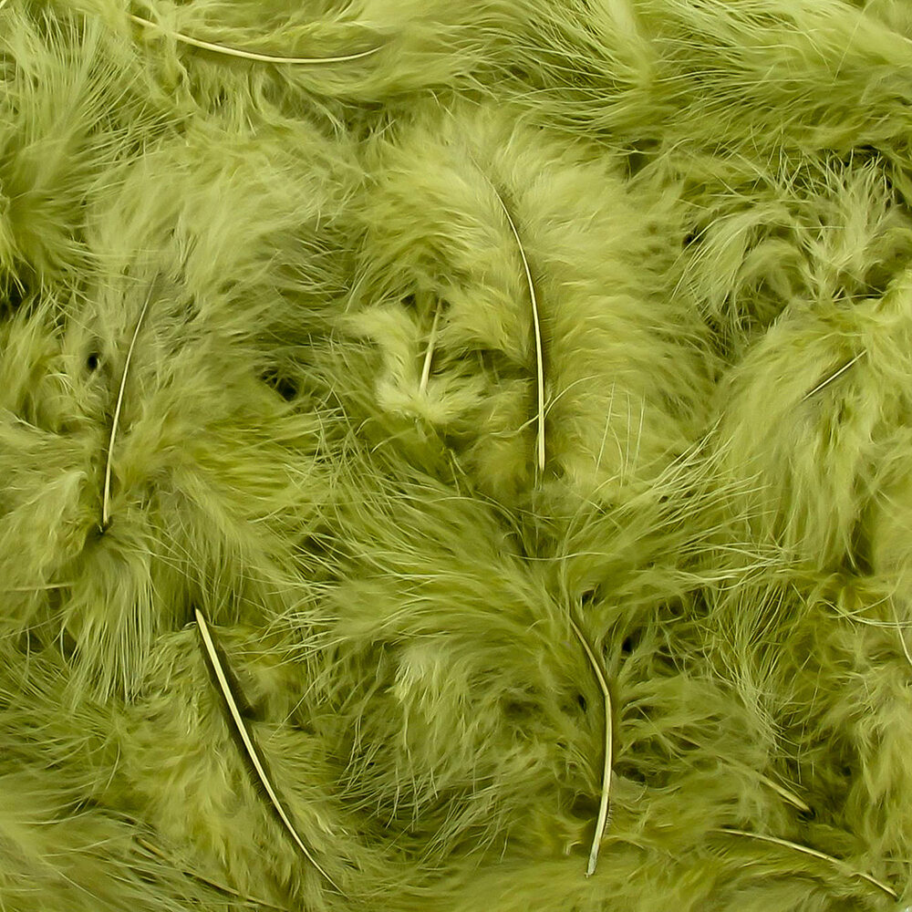 PLUMES SPRINGGREEN
