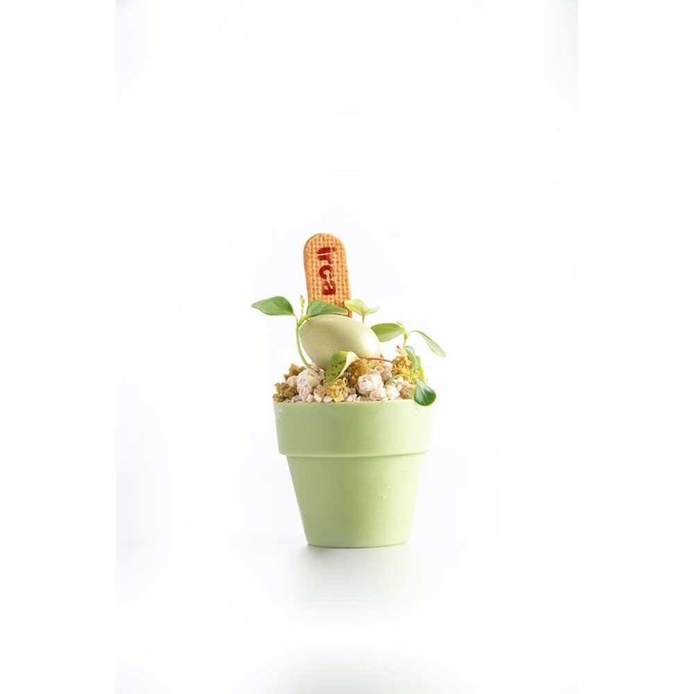 X28ST CHOCOLAT DECOR FLOWER POT LARGE GREEN DOBLA