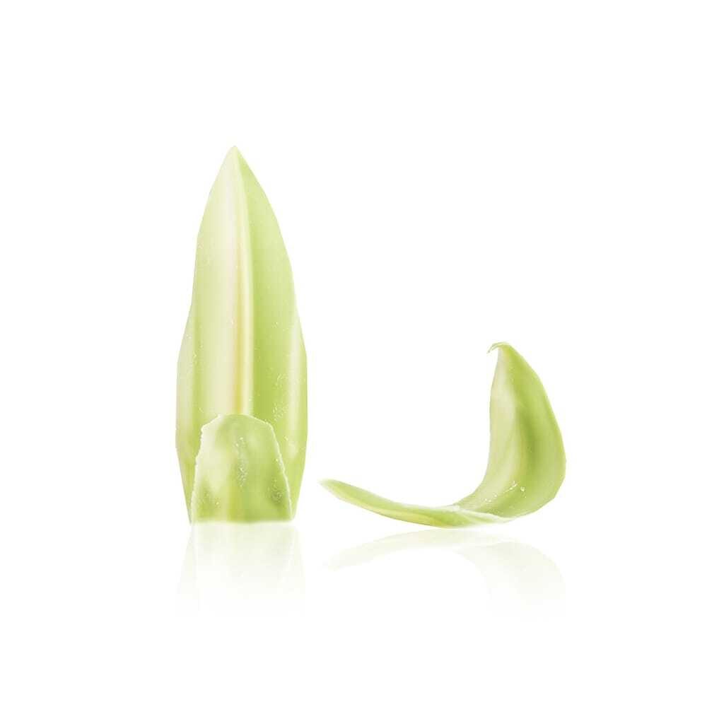X0,5KG DÉCOR CHOCOLAT LONG LEAVES GREEN/WHITE DOBLA