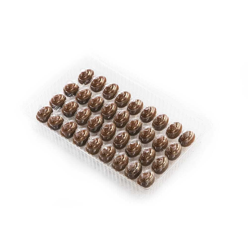 X40ST DÉCOR CHOCOLAT ACORN DOBLA