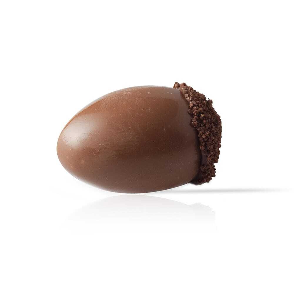 X40ST DÉCOR CHOCOLAT ACORN DOBLA