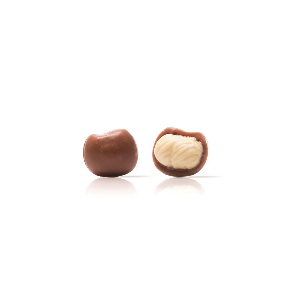 X120ST CHOCOLATE DECOR HAZELNUT IN SHELL DOBLA