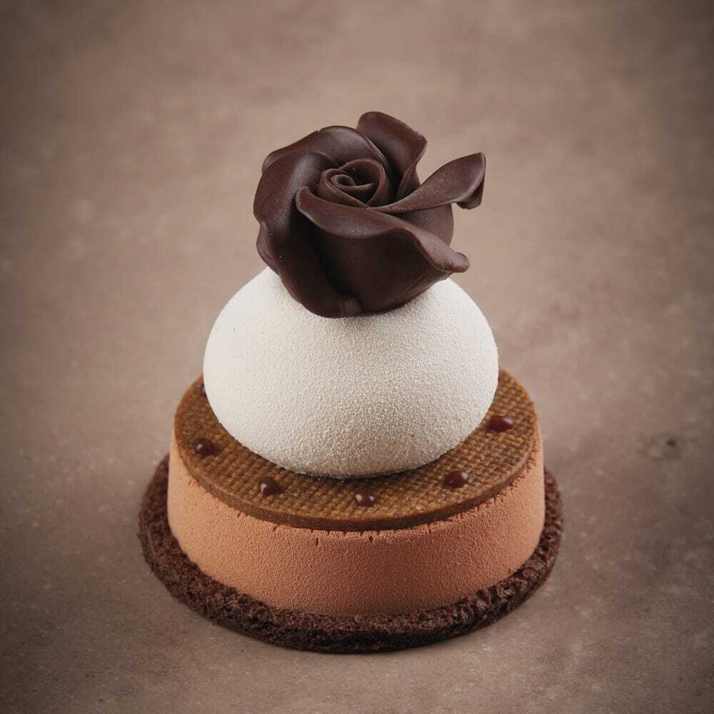 X15ST DÉCOR CHOCOLAT ROSE DARK DOBLA