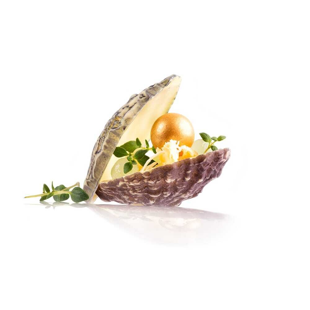 X12ST DÉCOR CHOCOLAT CHOCOLATE OYSTER DOBLA