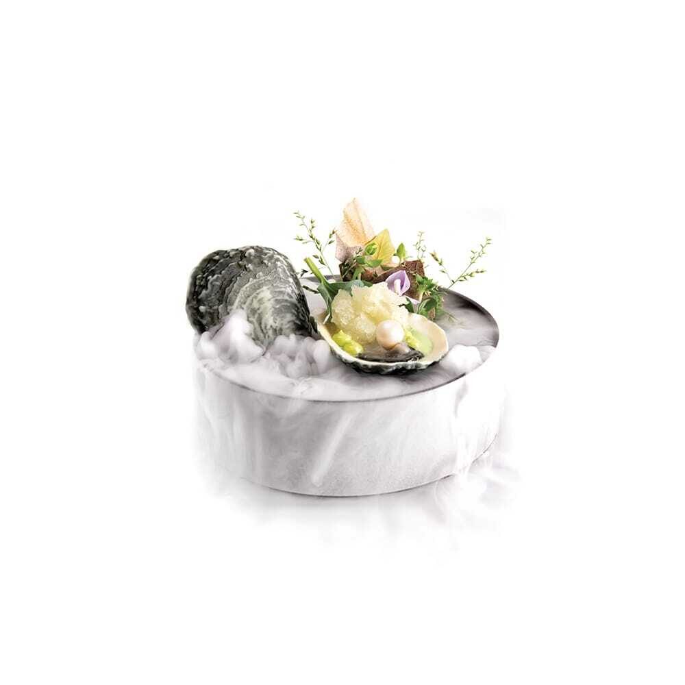 X12ST DÉCOR CHOCOLAT CHOCOLATE OYSTER DOBLA