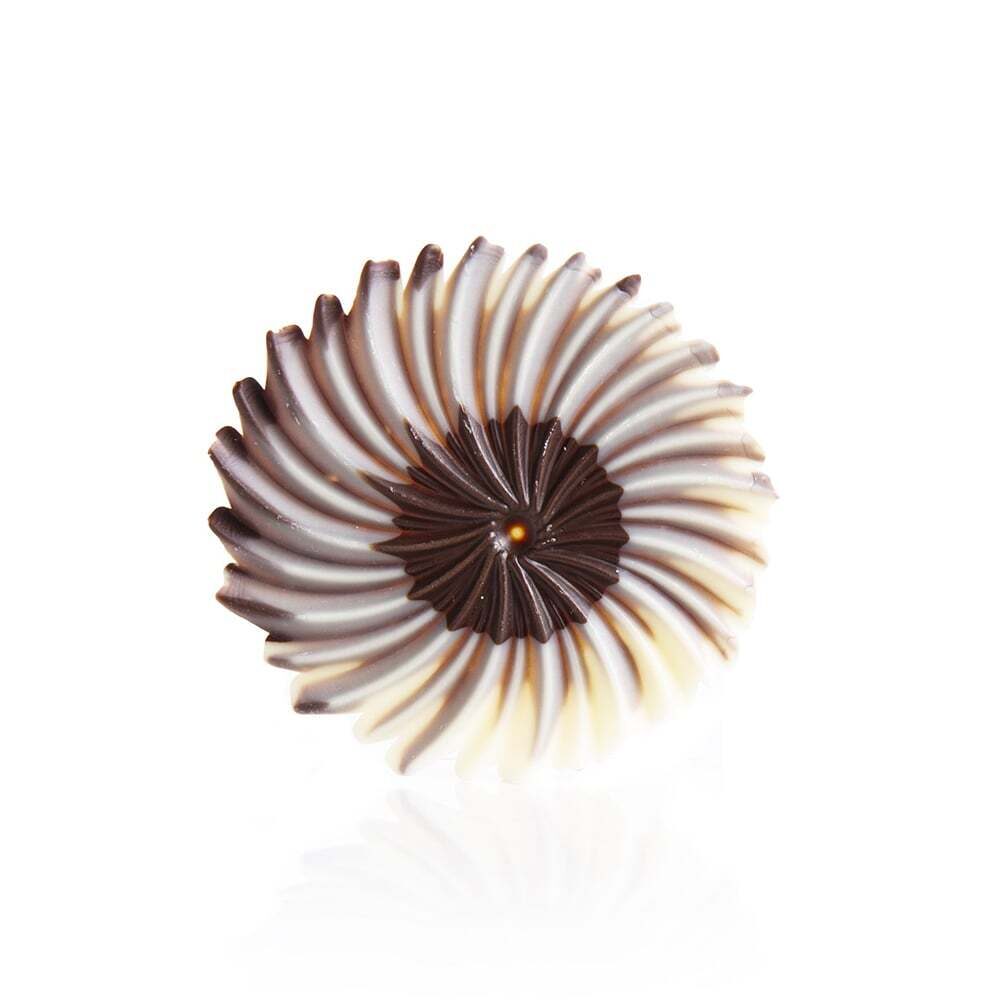 X30ST DÉCOR CHOCOLAT ROSETTE DARK/WHITE DOBLA