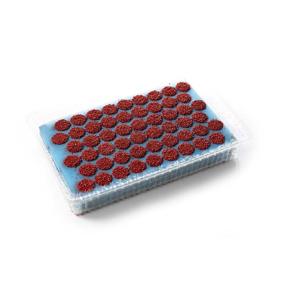 X486ST CHOCOLATE DECOR RED CRUMBLE DOBLA