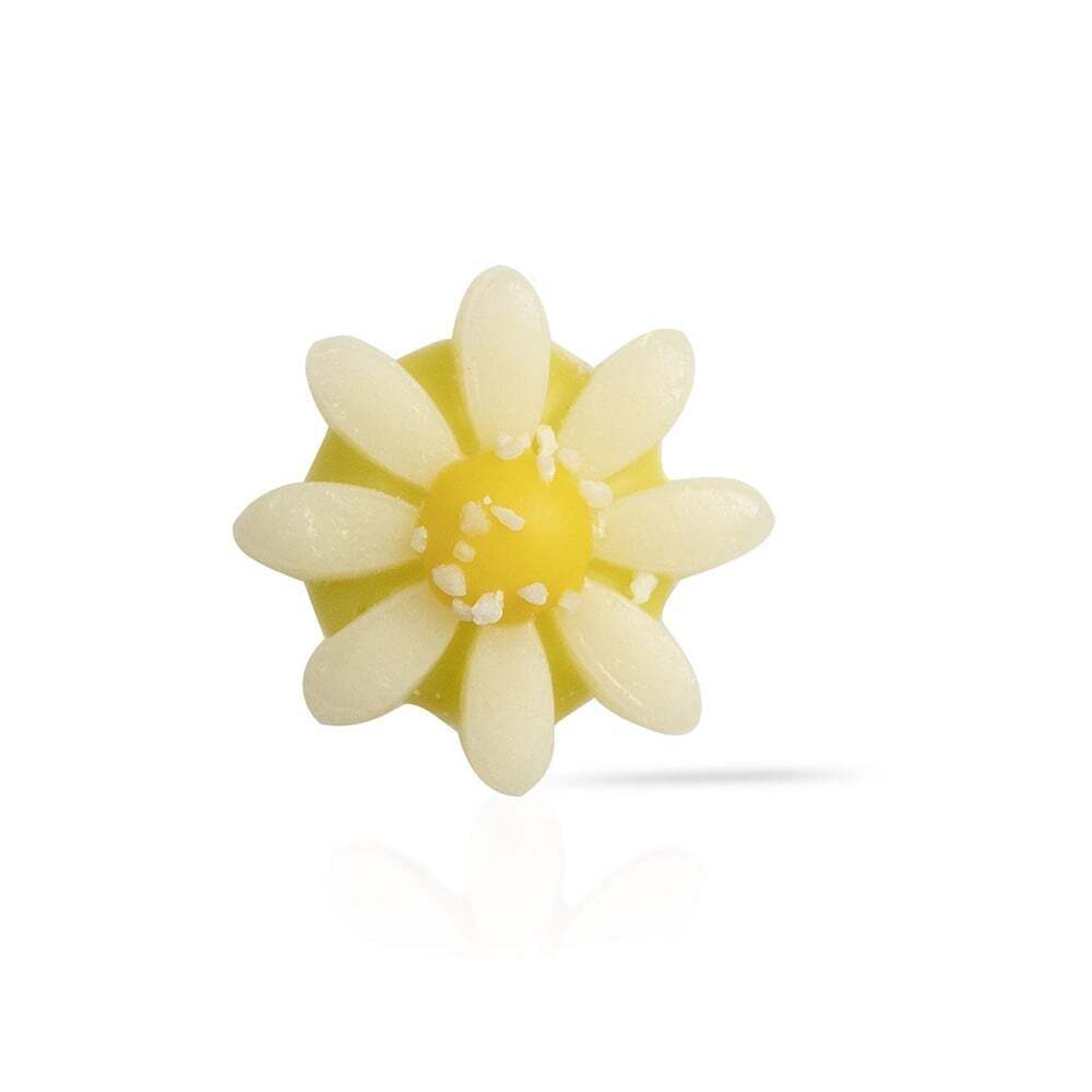X140ST CHOCOLATE DECOR DAISY DOBLA
