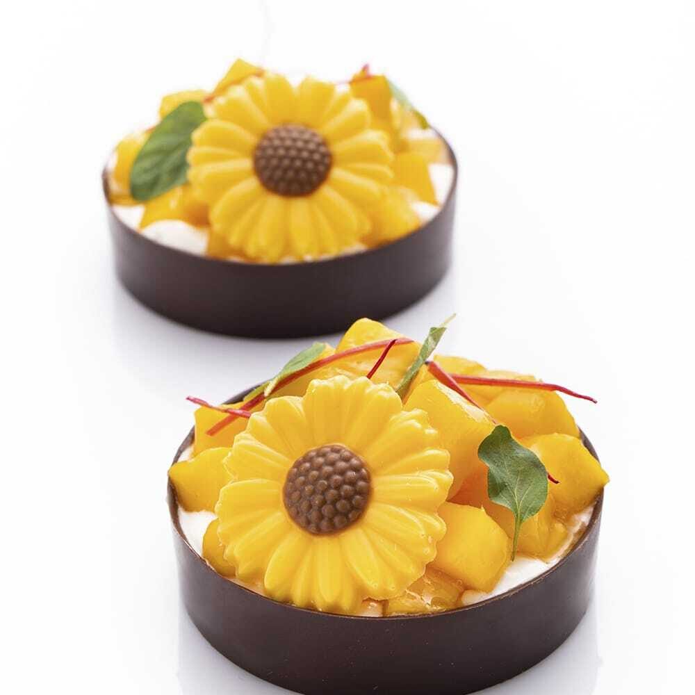 X90ST CHOCOLADEDECOR SUNFLOWER 2D DOBLA