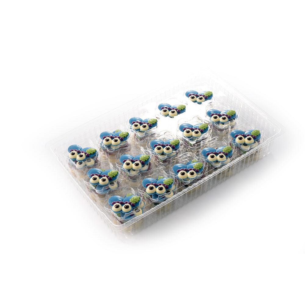 X90ST DÉCOR COCOLAT ASSORTIMENT DE BÉRETS PIETEN DOBLA
