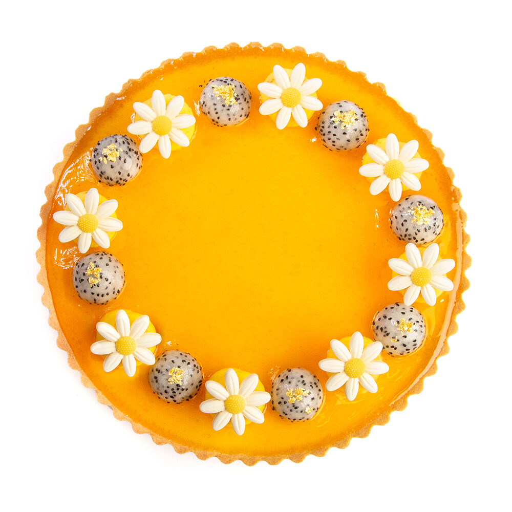 X200ST DÉCOR CHOCOLAT DAISY DOBLA