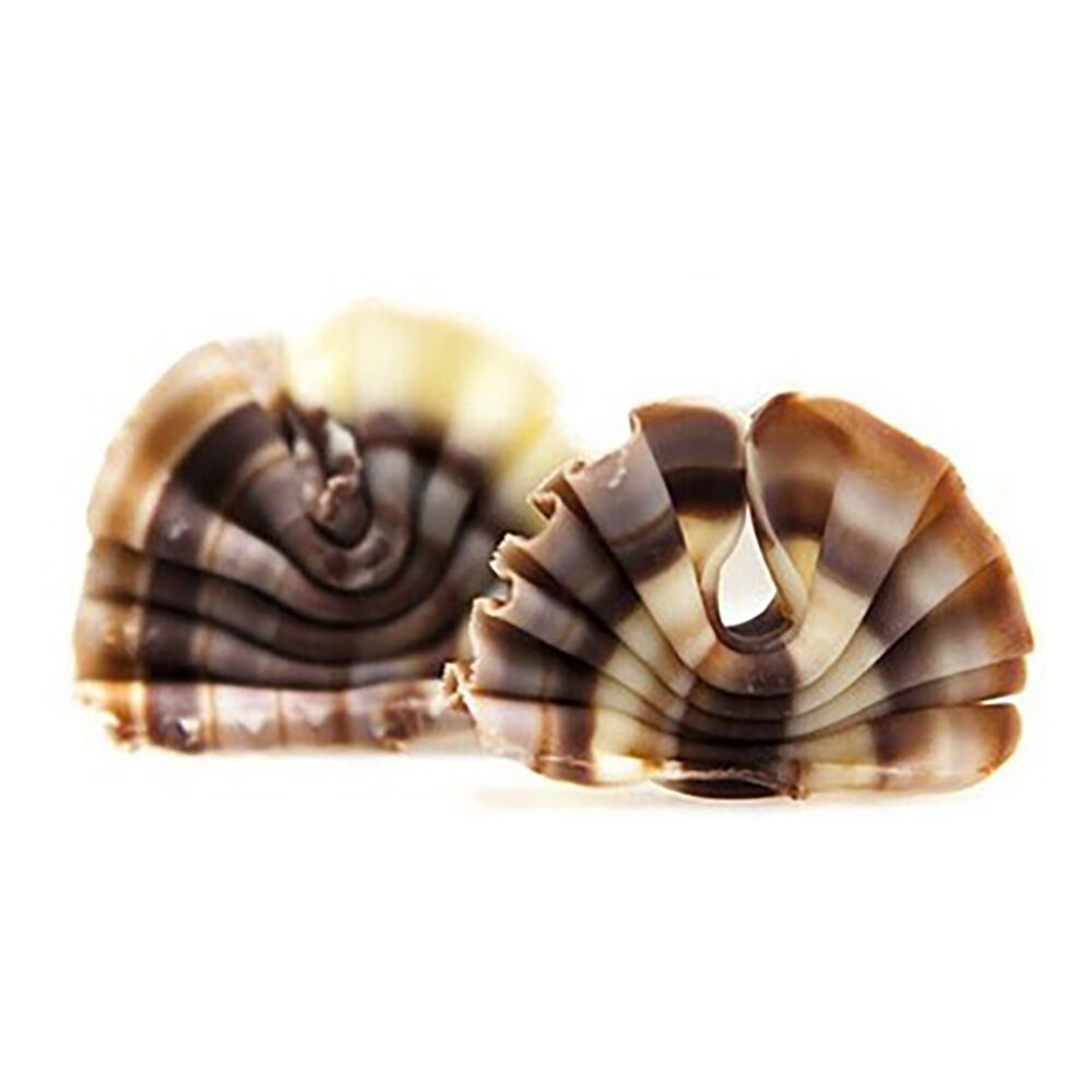 2,8KG FORET MINI MARBLED 3D