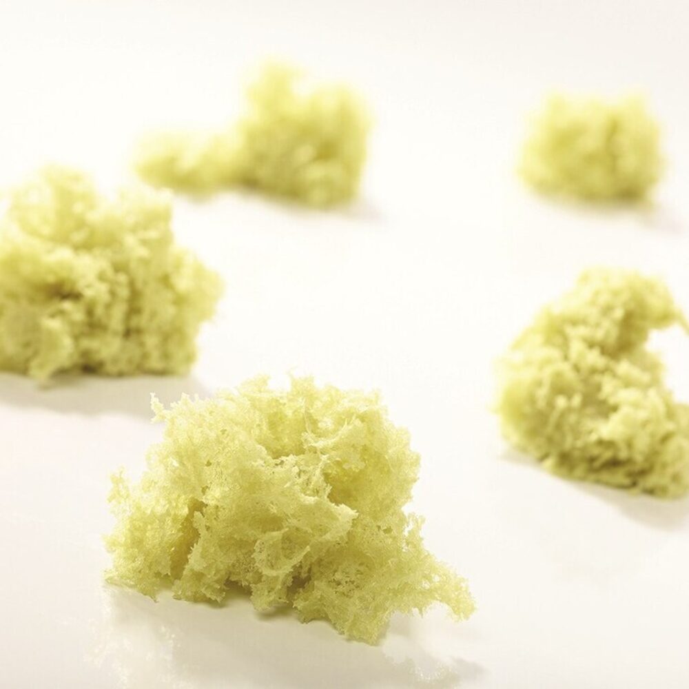 C/8ST SPONGECAKE PISTACHE