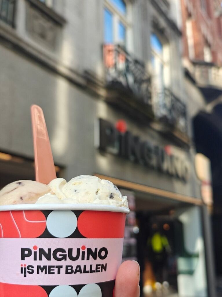Pinguino ijs
