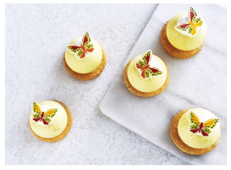 2025 01 21 Ranson1460