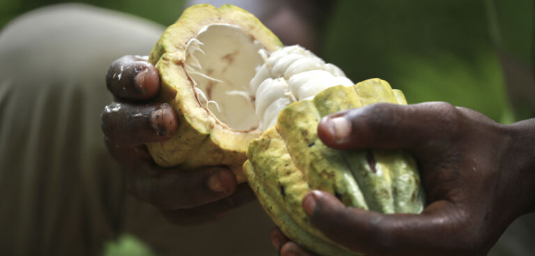 CAL Ranson webshop Cocoa Horizons 1250x600 2