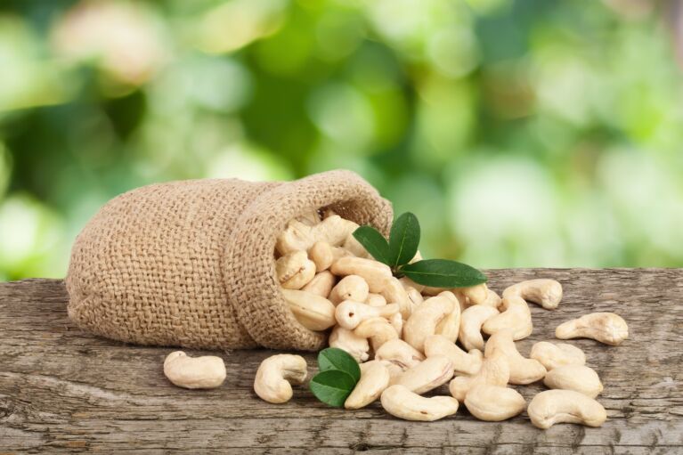 Cashew Website
