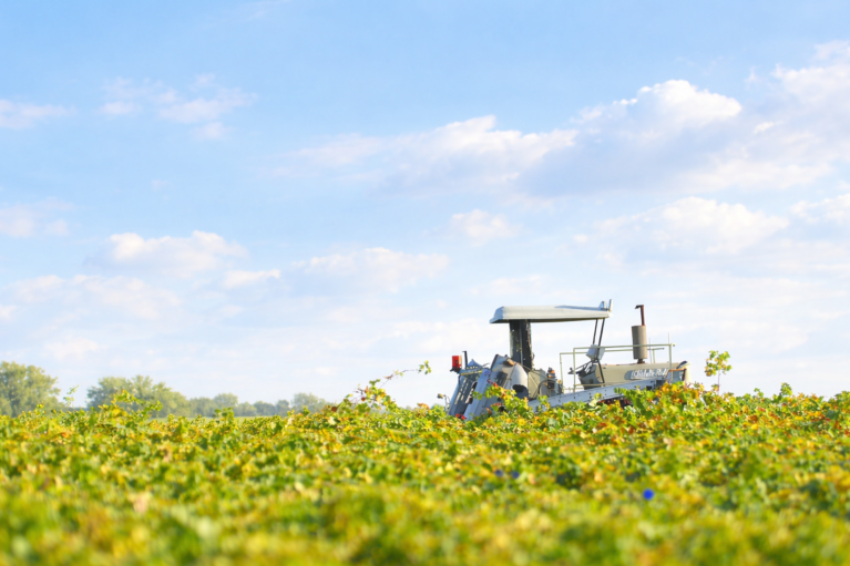 Chat GPT Image 11 mrt 2026 16 37 03