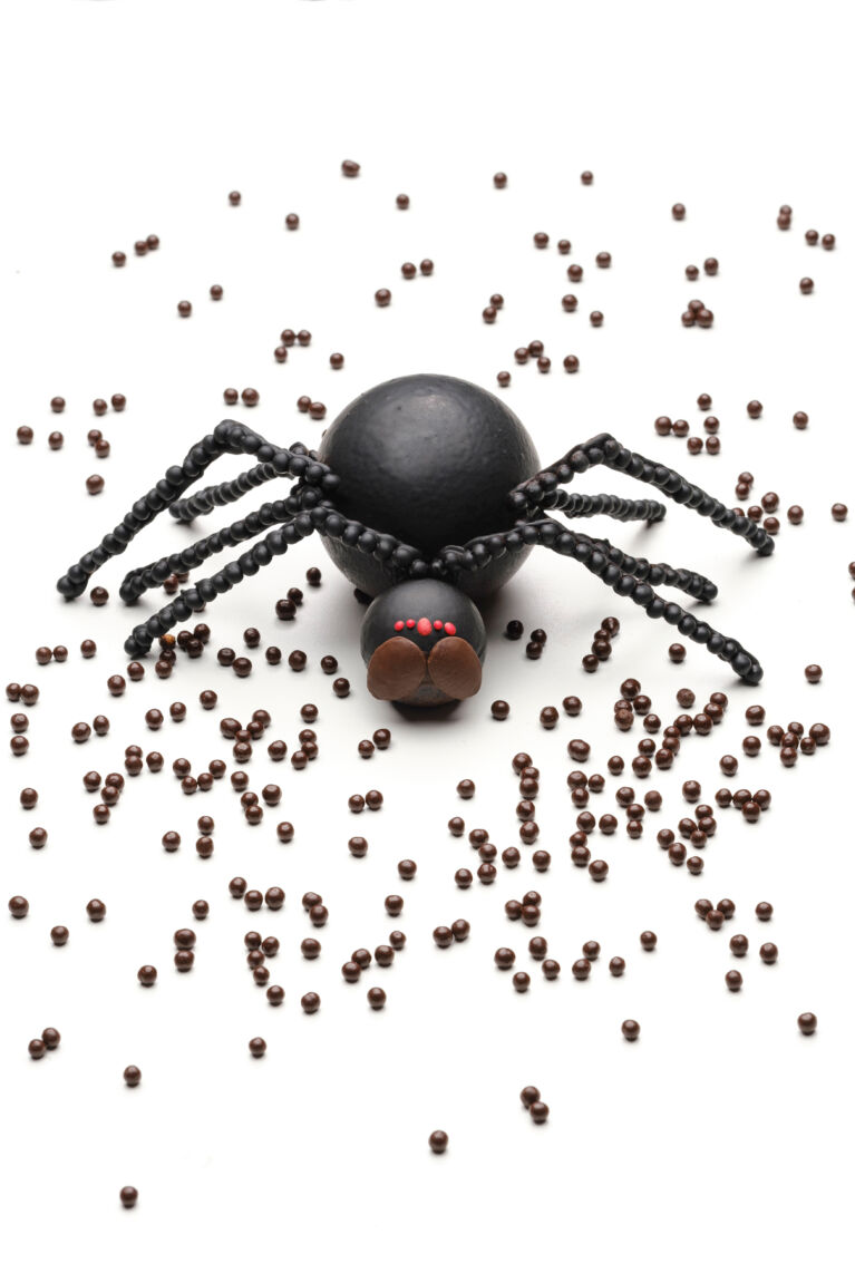 Choc Ola Halloween Tasty Spider 1