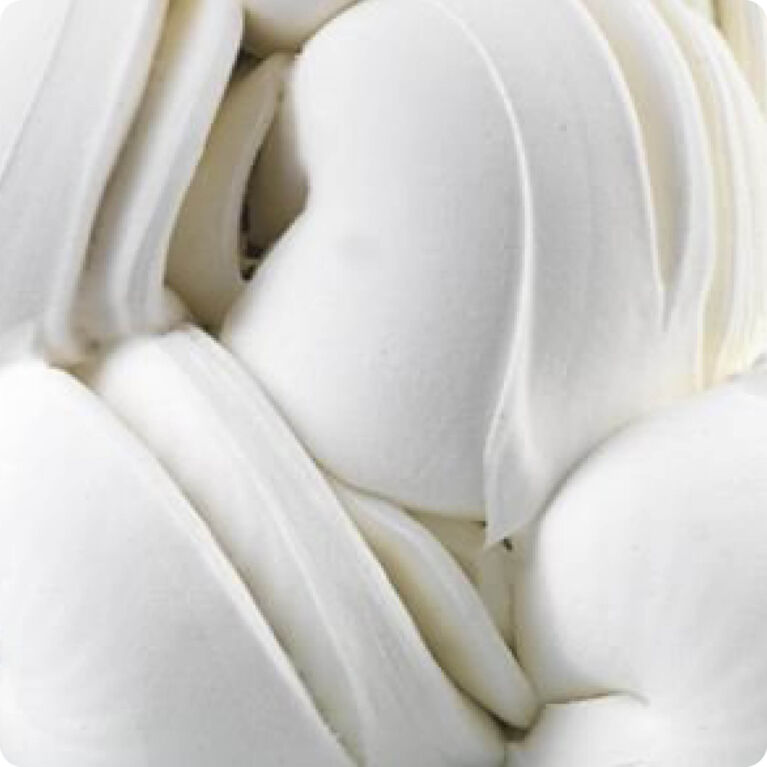 Cresco Prosecco Sorbet