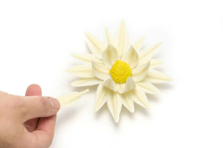 Grains De Vanille VALENTINE