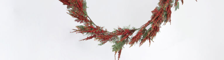 Header News rood