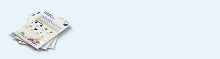 Header News PVDM 02 2026