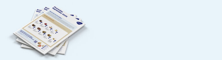 Header News PVDM 09 2025