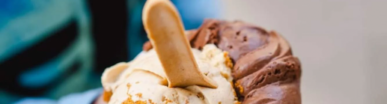 Header News ecopoon