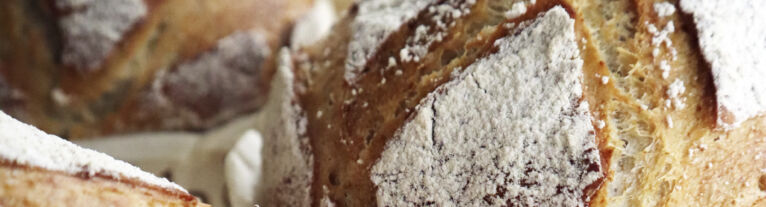 Header News foricher