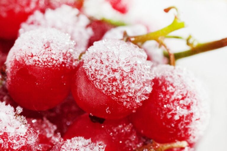 Red Currants IQF
